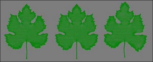 3ds Max教程:制作飽滿多汁葡萄_武林網VeVB.COm整理