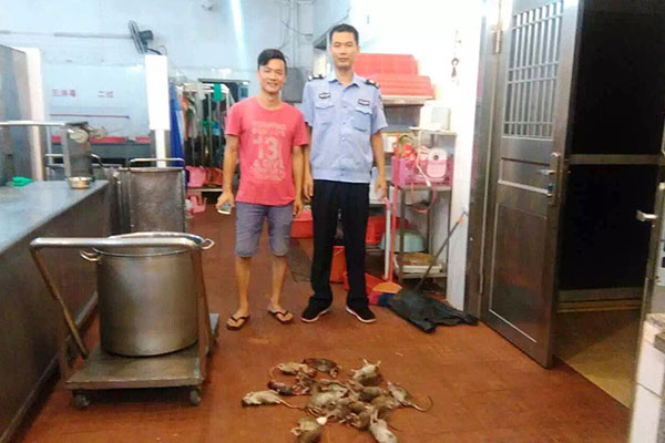 石歧區(qū)提供殺蟑螂價(jià)格